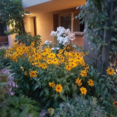 Noclegi Silesia Tychy Exterior foto